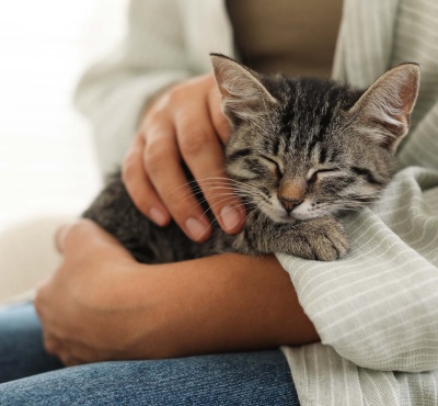 Den duševního zdraví: Už jste někdy vyzkoušeli terapeuta, který vrní?