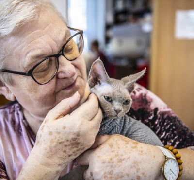 Léčba kočkou? Tři ze čtyř Čechů o felinoterapii nikdy neslyšeli, přesto vzbuzuje zájem