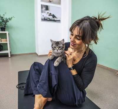 Kočky místo prášků. V Česku roste zájem o felinoterapii