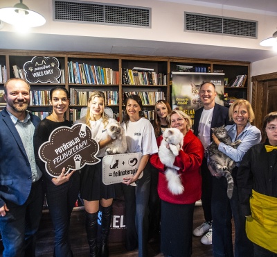 Felinoterapie a pet jóga: Wellness trendy, kdy hledáme klid u koček