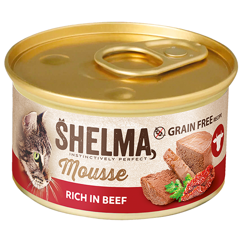 Mousse s hovězím, rajčetem&nbsp;a petrželkou