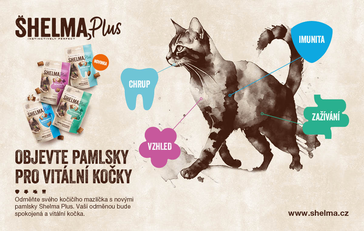 Vraťte své kočce její přirozenost