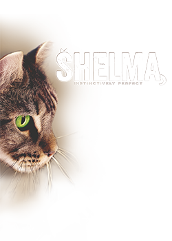 Logo Shelma