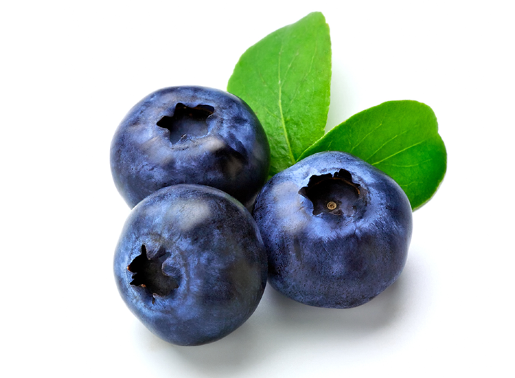 Immune system support