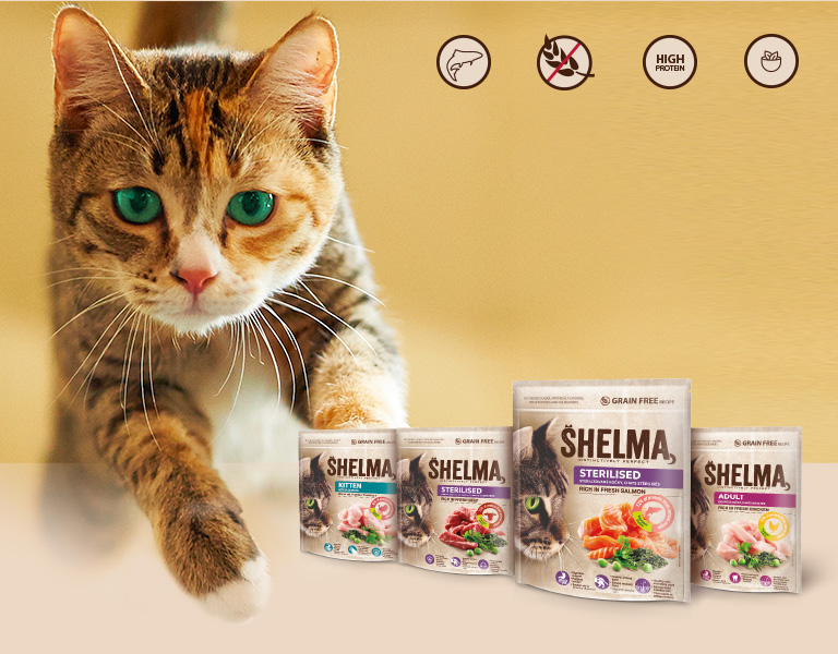 Return your cat to nature.