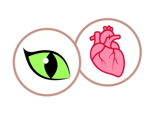 Dobry wzrok i prawidłowe funkcjonowanie serca