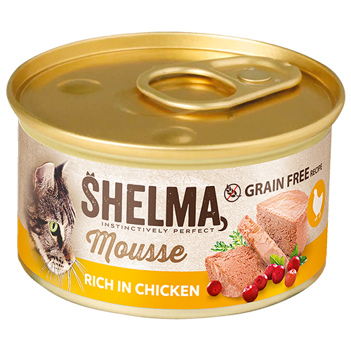 Mousse s kuřecím, brusinkami&nbsp;a tymiánem