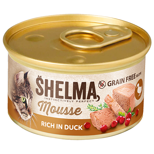 Mousse s kachním, brusinkami&nbsp;a tymiánem