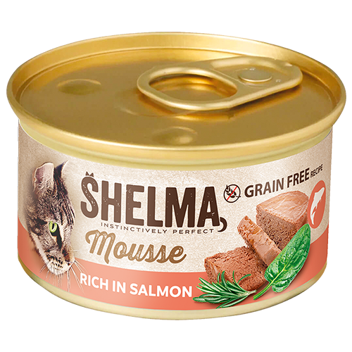 Mousse s lososem, špenátem&nbsp;a rozmarýnem