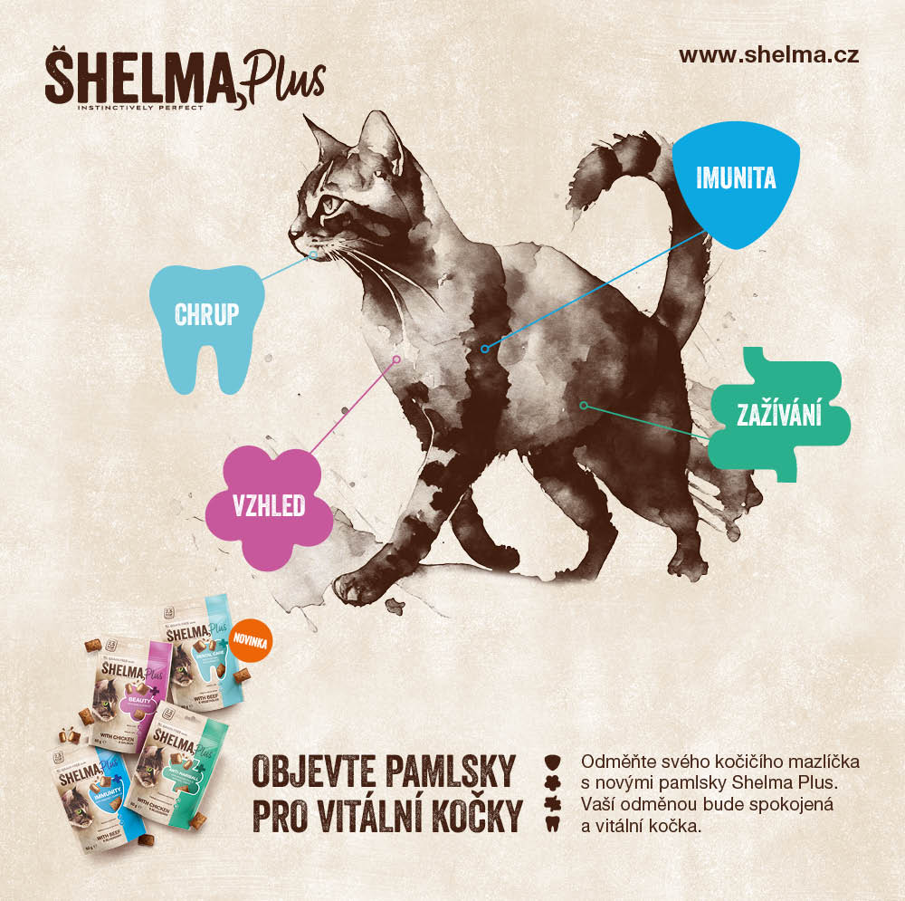 Vraťte své kočce její přirozenost