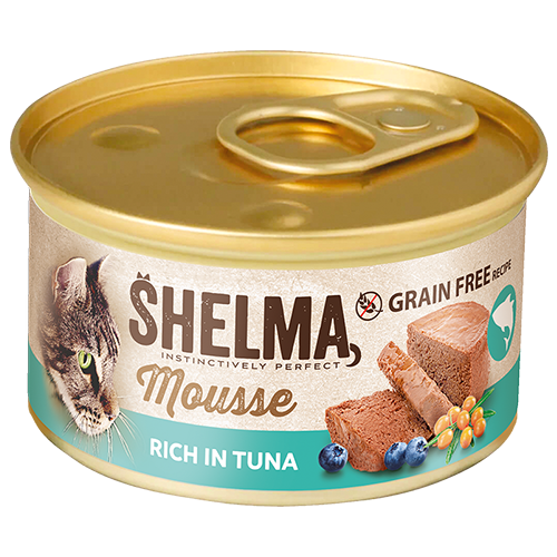 Mousse s tuňákem, borůvkami&nbsp;a rakytníkem